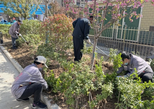 铂金华府开展“手植绿意 春满心田”志愿植树活动