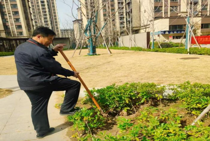 壹号公馆：绿化补种专项行动  春风补绿焕新颜