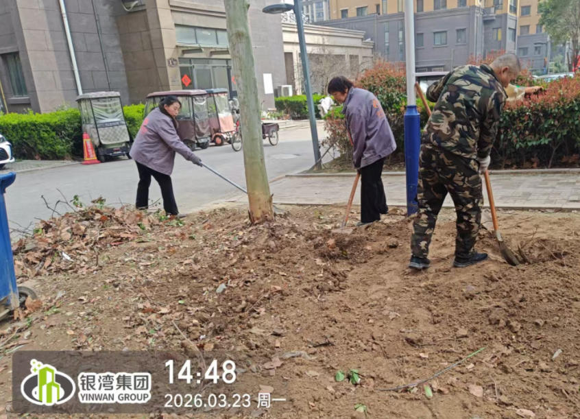 聚龙湾：春季补栽添新绿，家园焕新更宜居