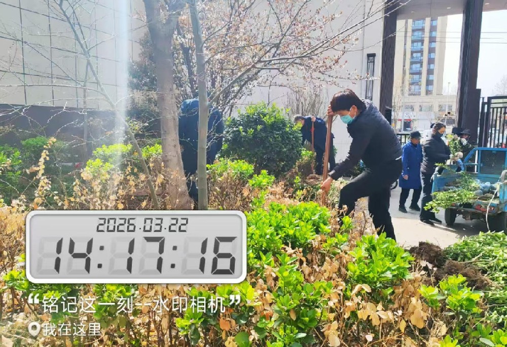 壹号公馆：绿化补种专项行动  春风补绿焕新颜