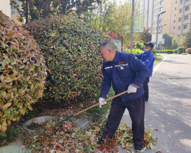 港湾新城：绿化修剪焕新颜 美好家园更宜居