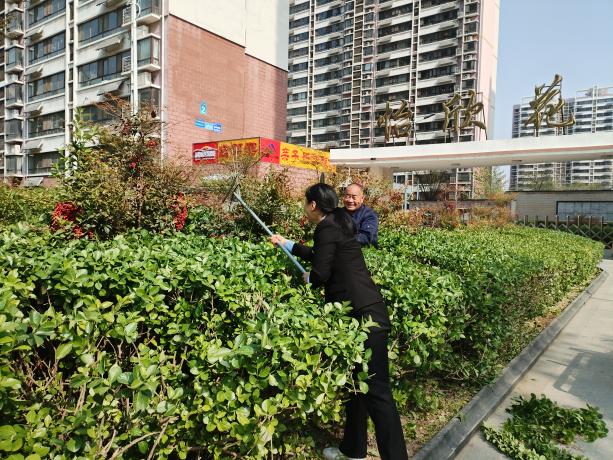 怡欣花园：园区绿化专项养护，提升整体景观效果