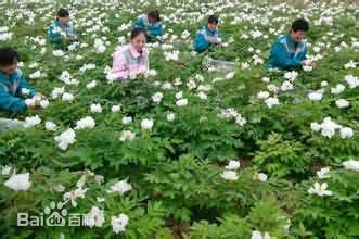 环卫：小留镇