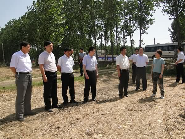 环卫：阴平镇