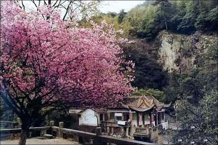 环卫：坛山街道