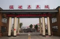 高档别墅：恒世·未来城