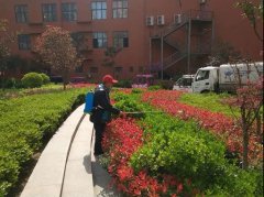 大都会小区物业开展园林植物病虫害防治工作