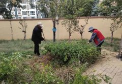 怡欣花园开展绿化苗木补植和越冬防护工作